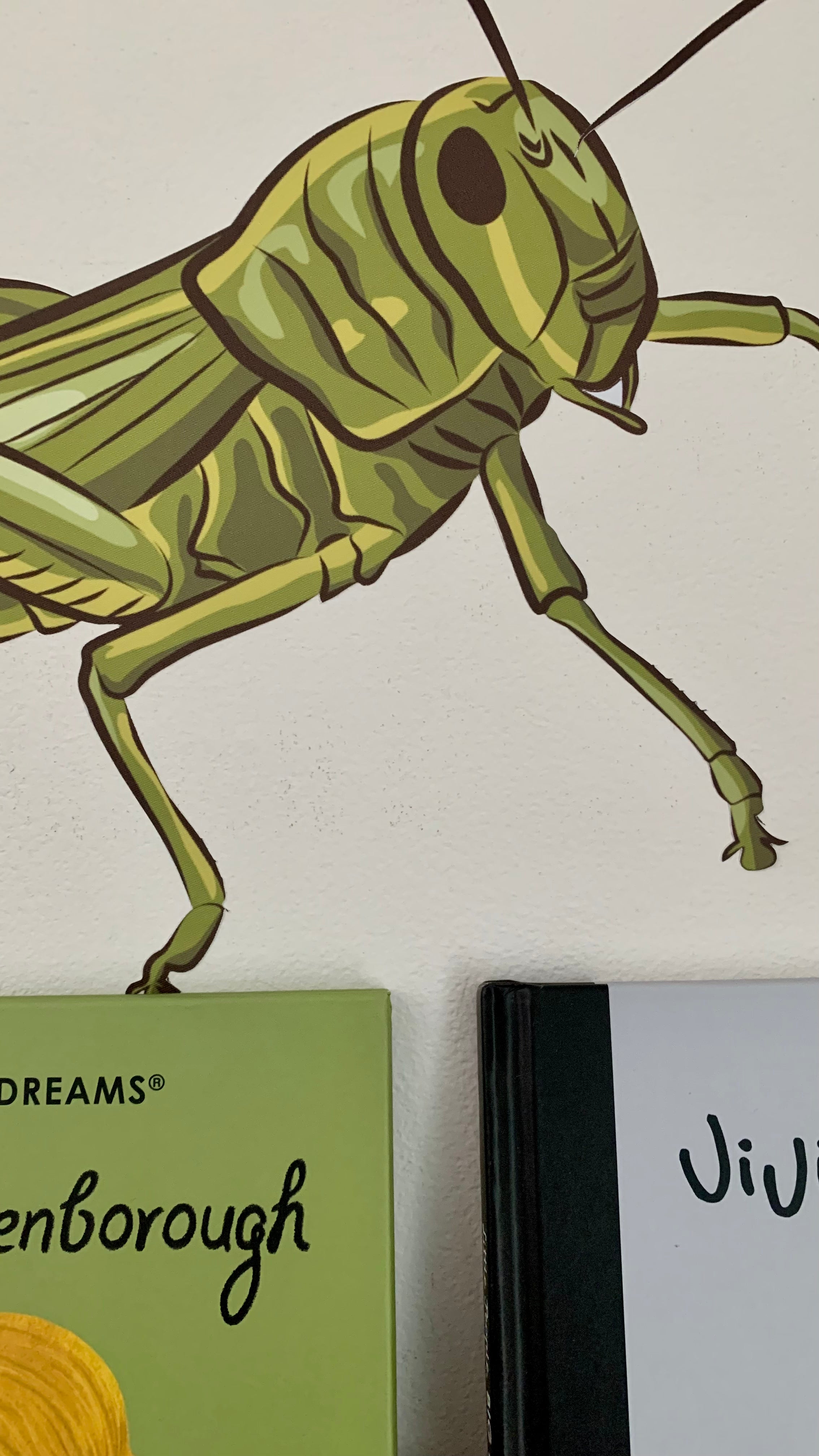 Decals - A Bugs World