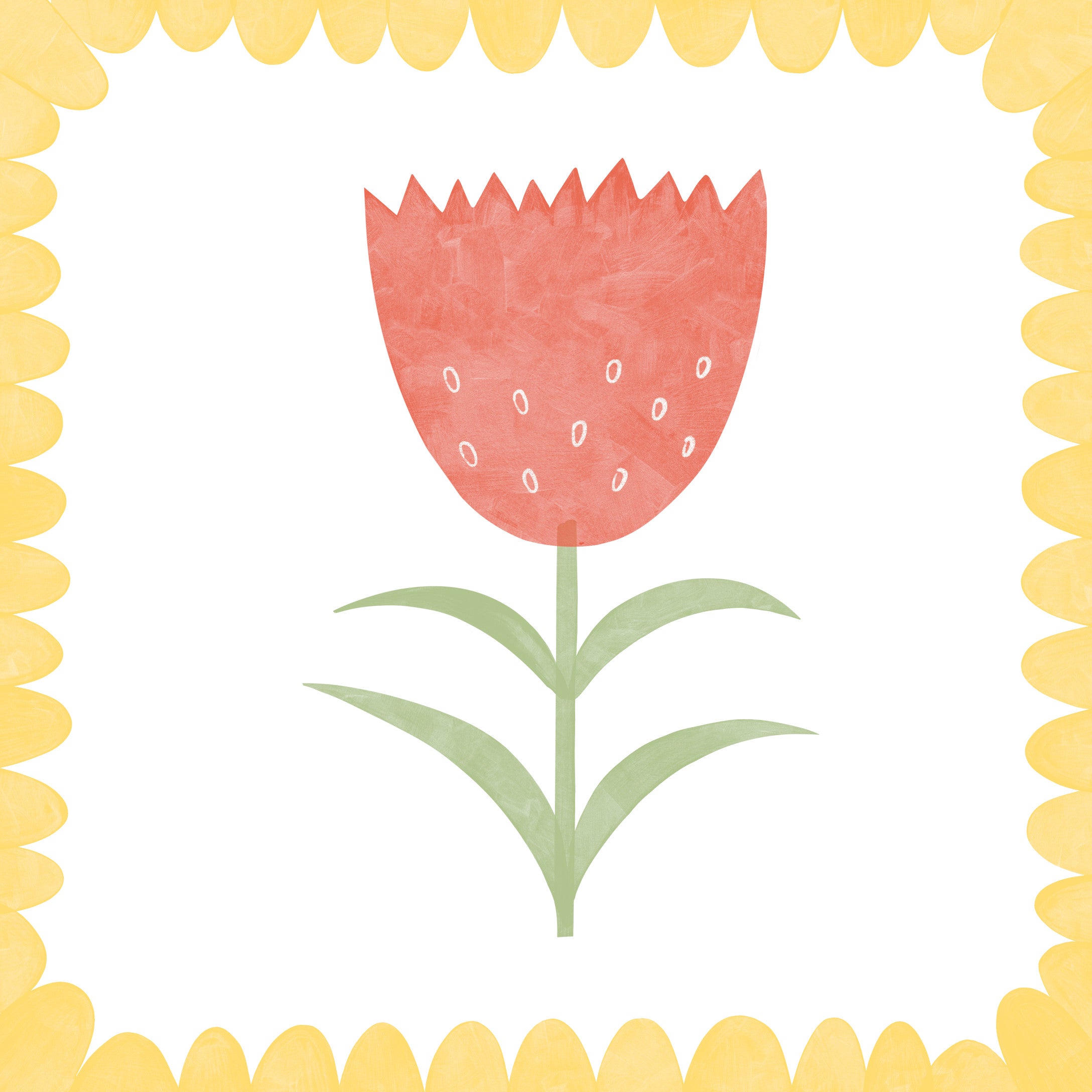 Print - Tulip - Square Print