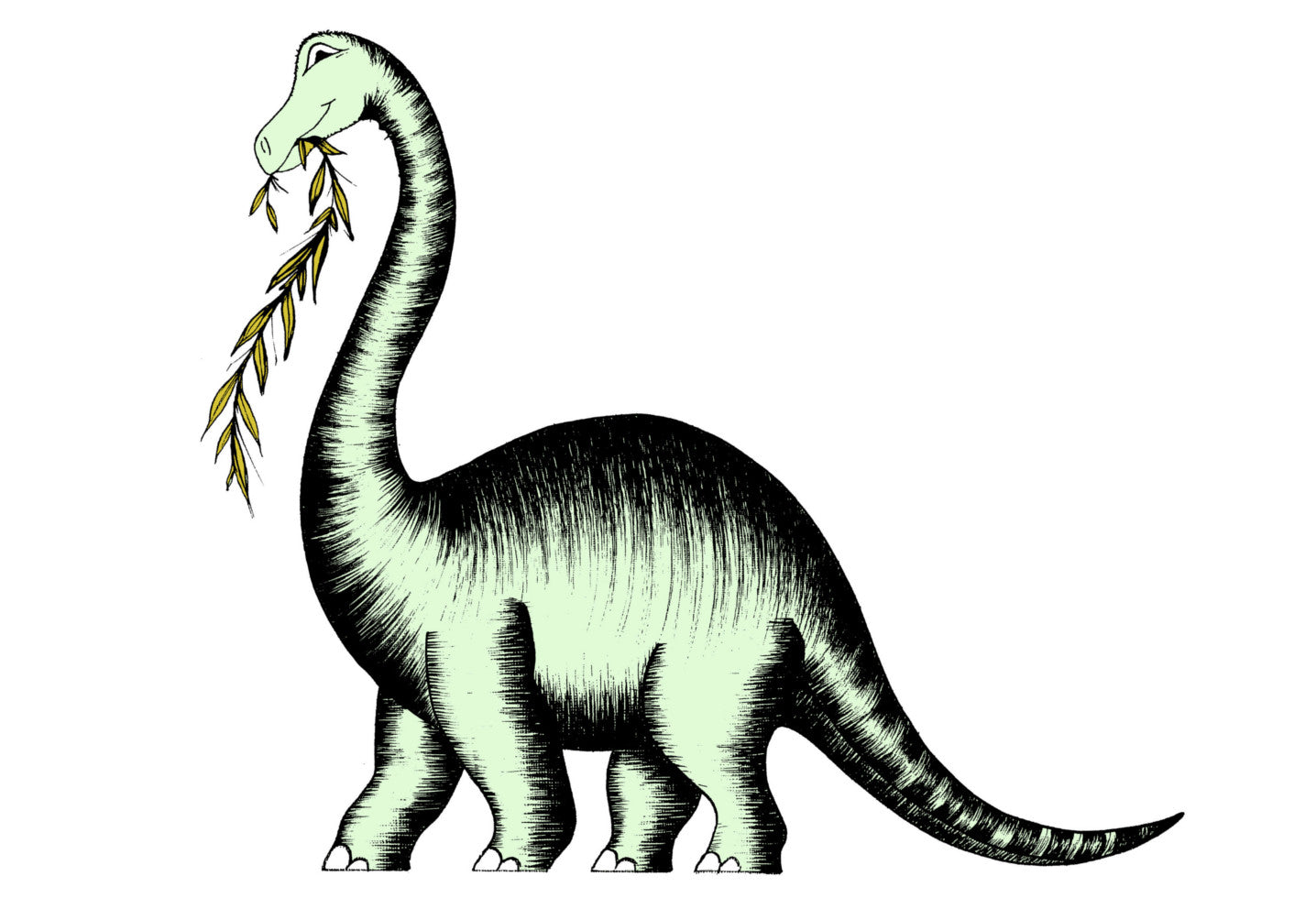 Personalised Dinosaur Name Banner - ALL DINOSAURS
