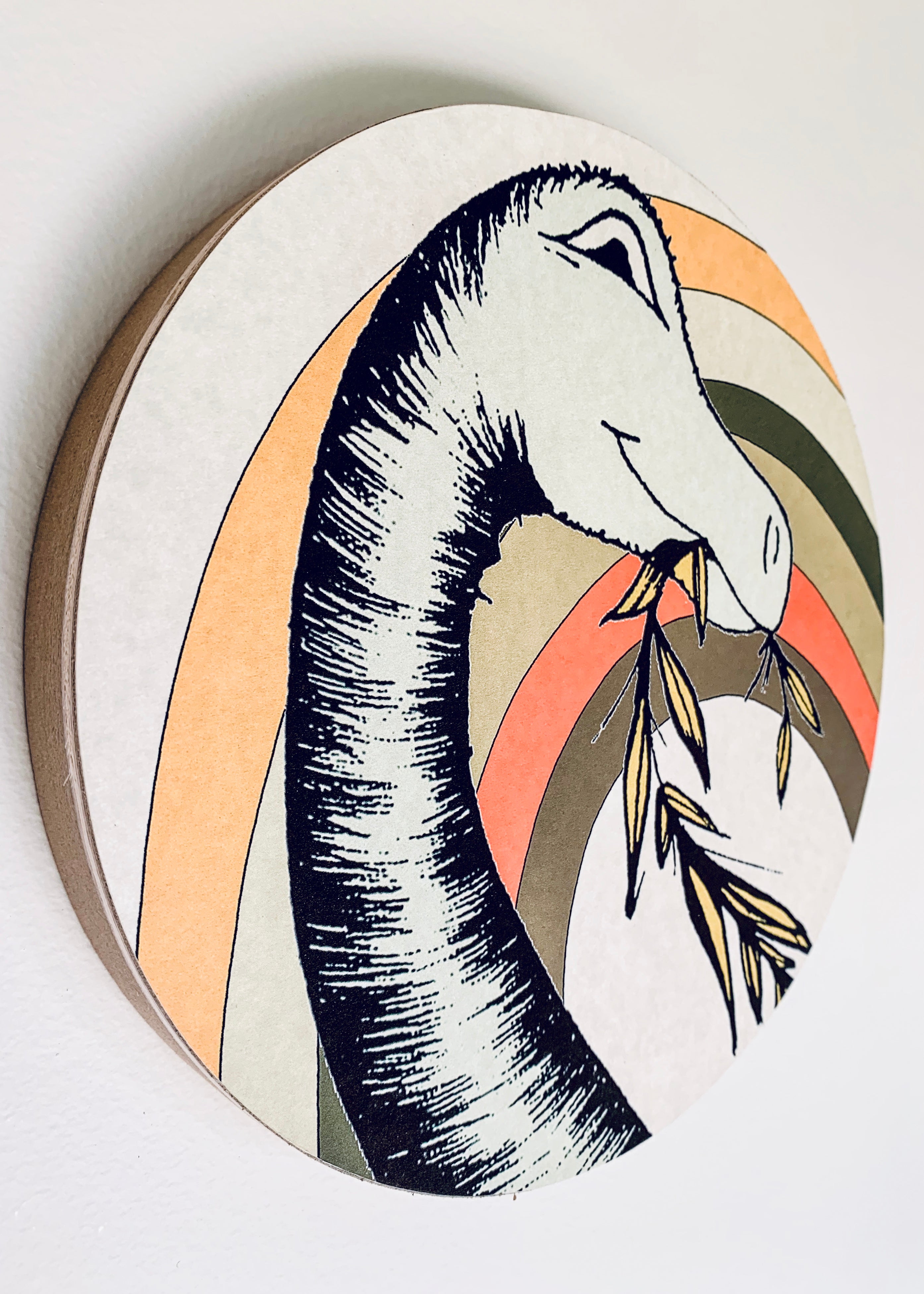 Wooden Dinosaur Plaque - Rainbow Brontosaurus Head