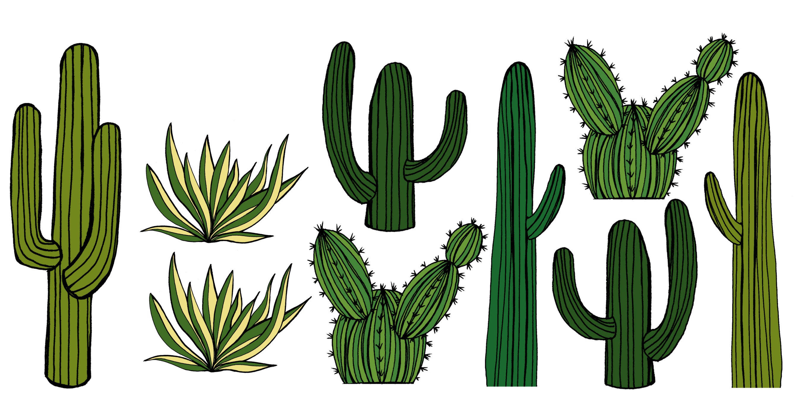 Decals - Cacti - Large