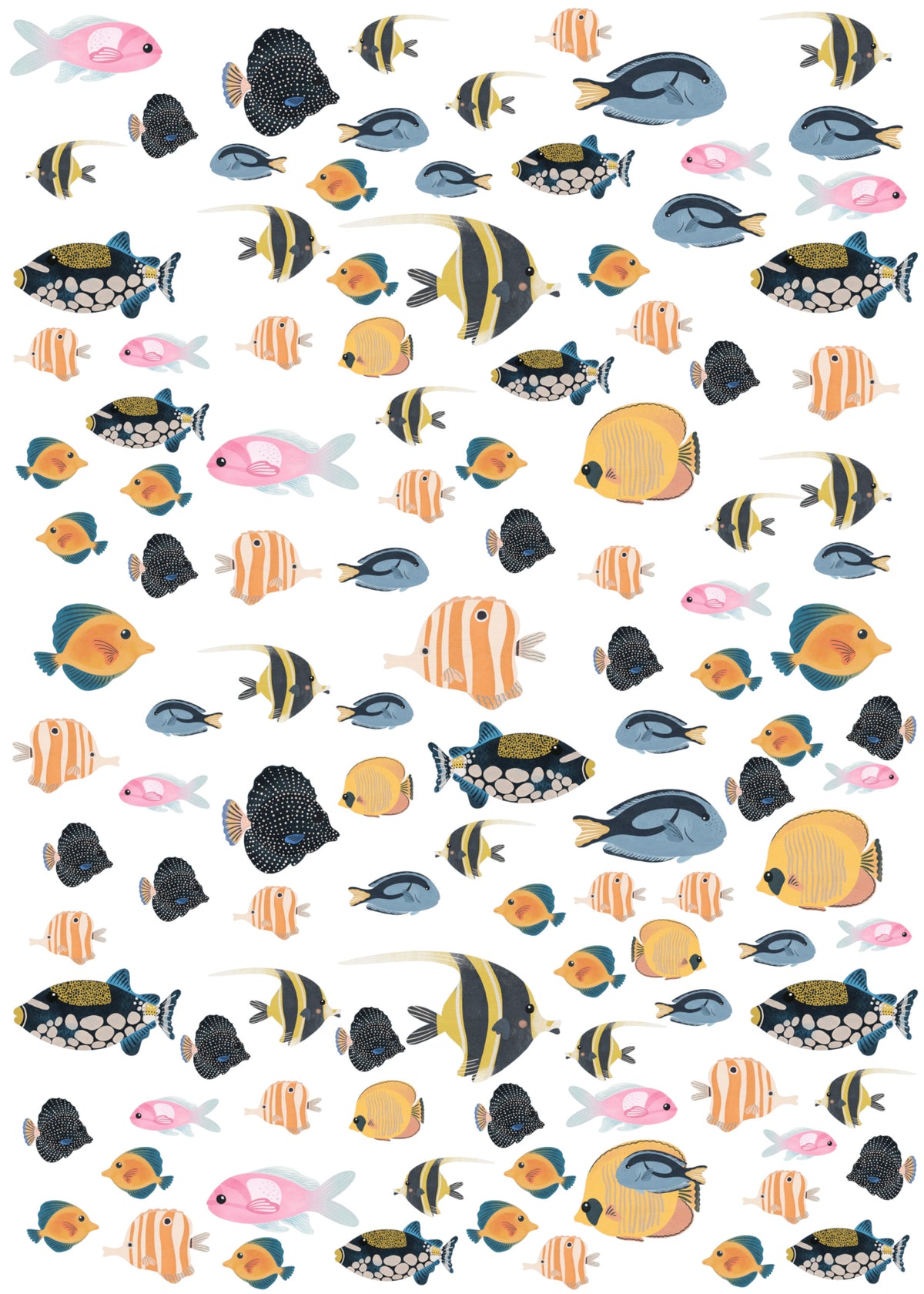 Decal Mini - Exotic Fish – Dino Raw