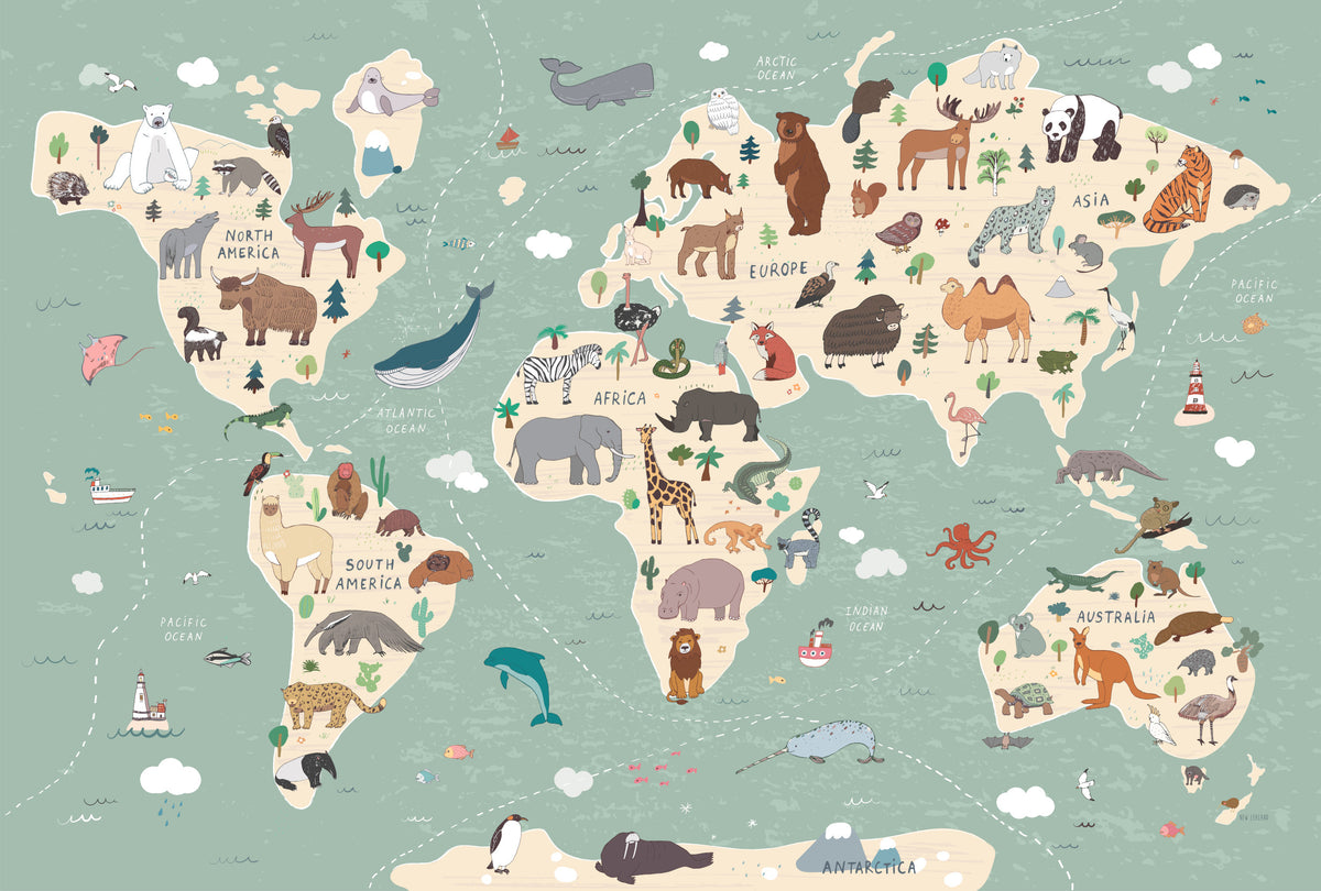 Decals - Animals Of The World Map – Dino Raw