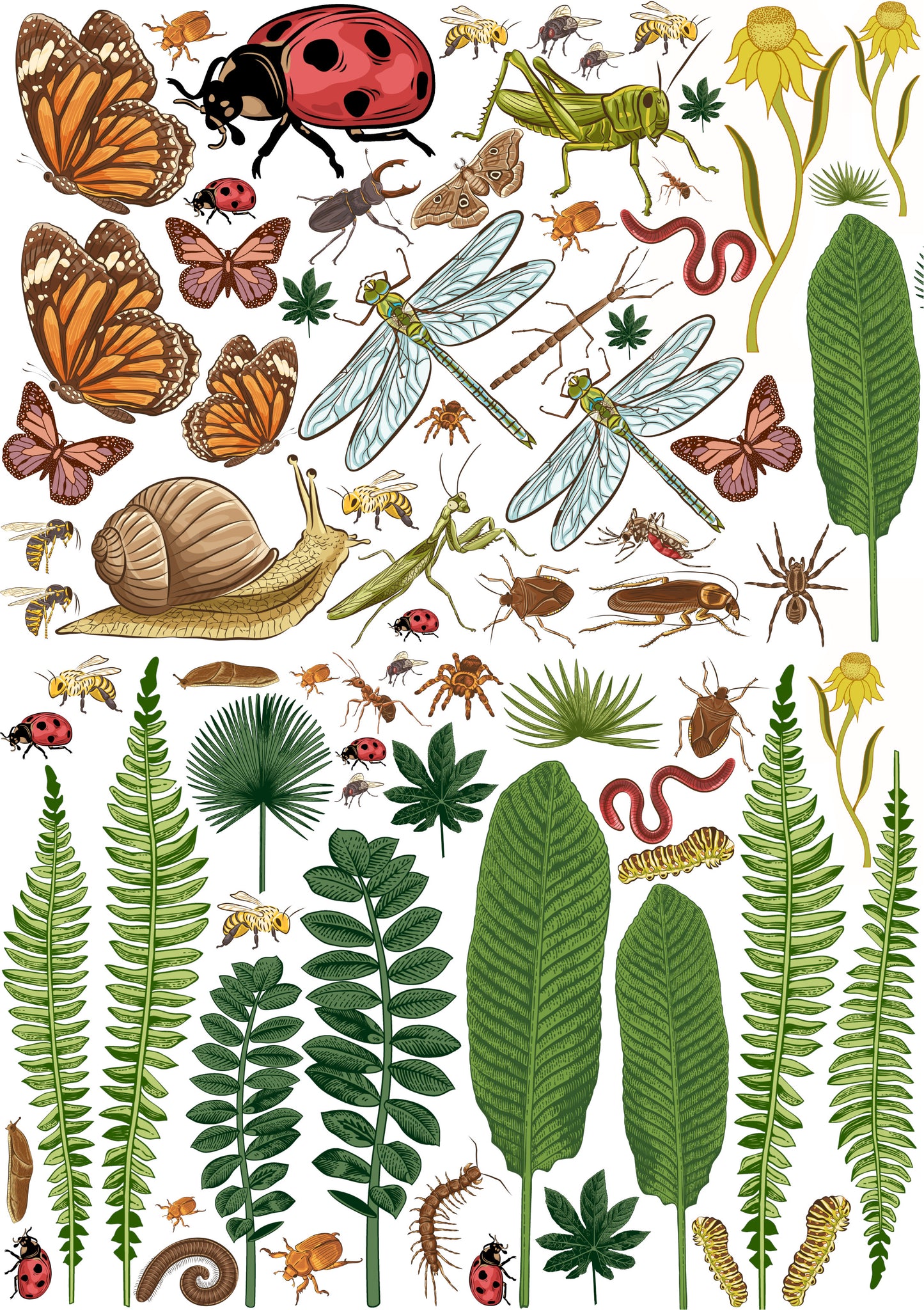 Decals - A Bugs World