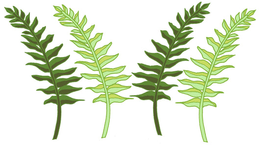 Decal Into The Wild / Ferns