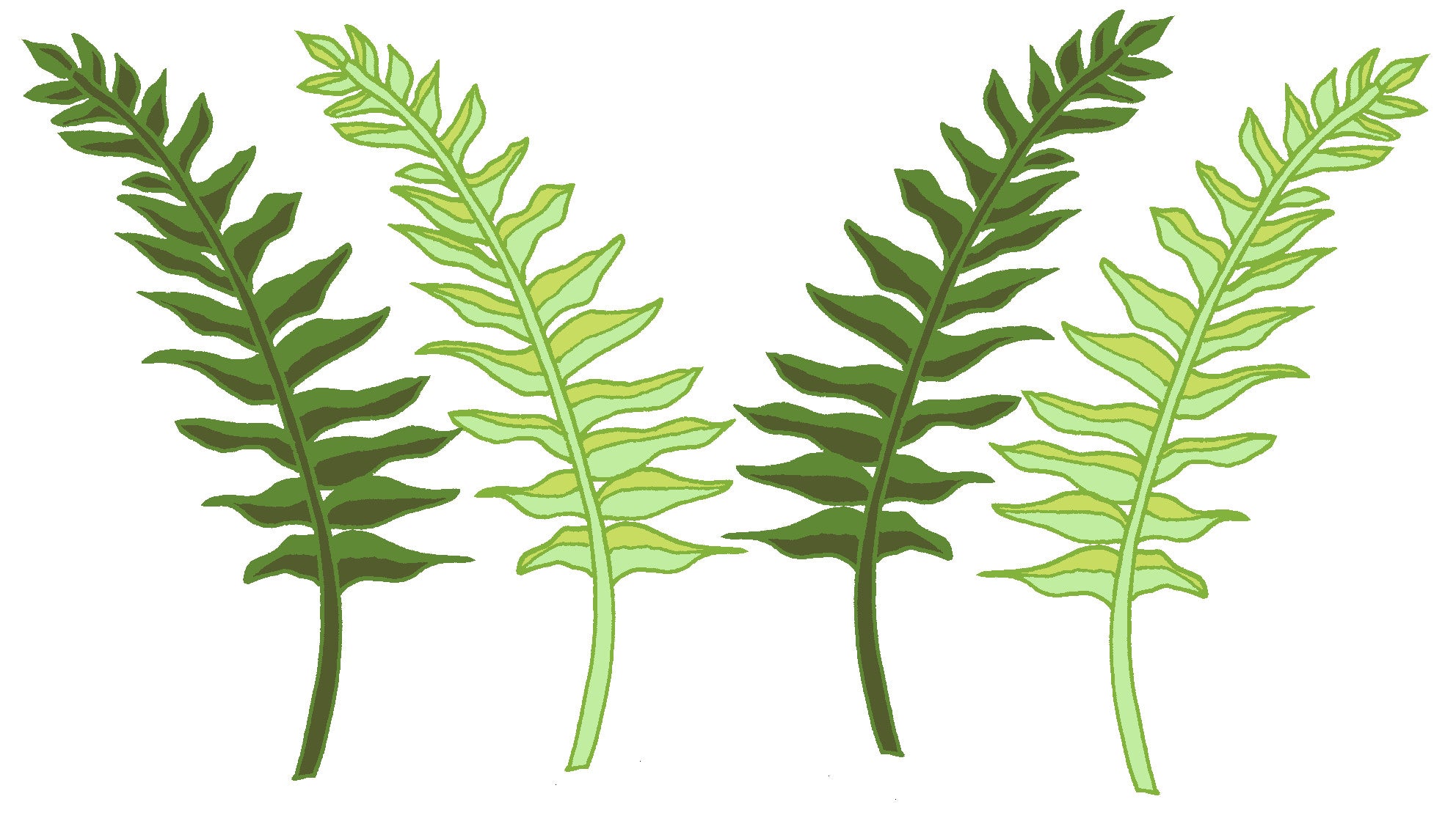 Decal Into The Wild / Ferns