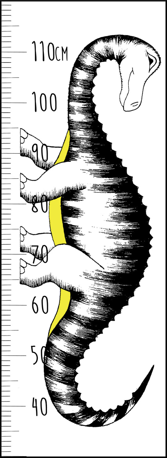 Dinosaur Growth Chart / Diplodocus / Black & White